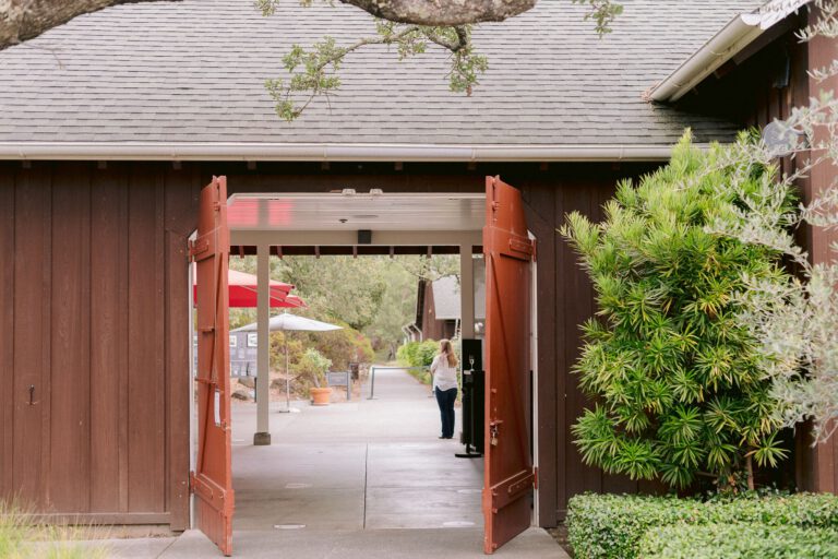 Unveiling the Bubbly Secrets: a Journey Through Mumm Napa Winery