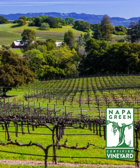 A view of a vineyard with a superimposed green and white logo that shows a grape vine and the words 'napa green certified vineyard'
