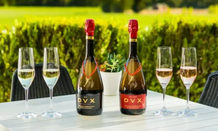 Bottles of DVX and DVX Rosé sparkling wine and champagne flutes on a table with a sunny vineyard in the background