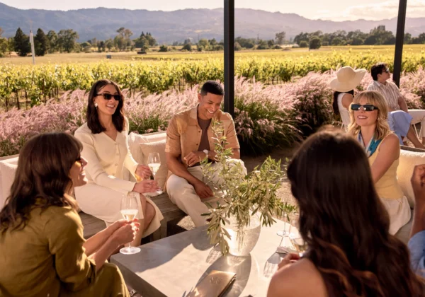A group of guests enjoy glasses of sparkling wine with a sunny vineyard and hills in the background